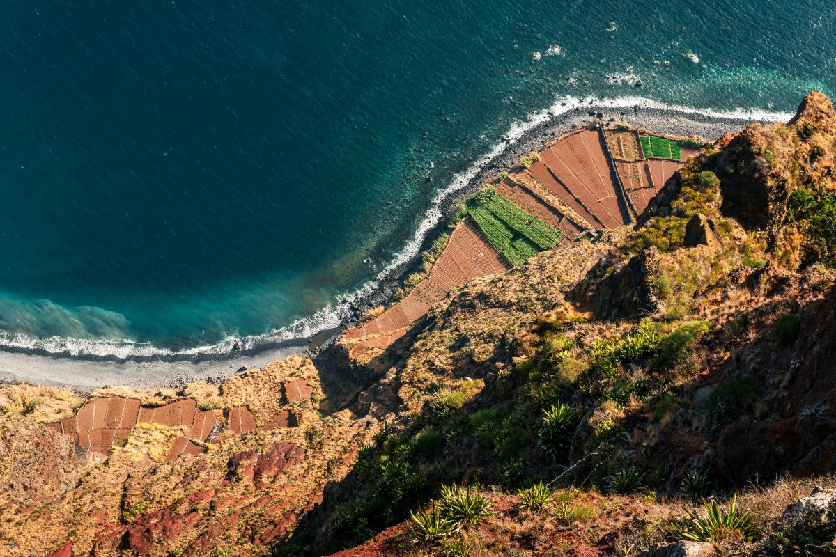 a aerial view of a beach