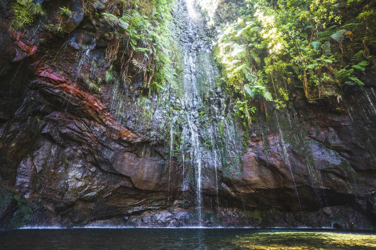 a waterfall in a forest
